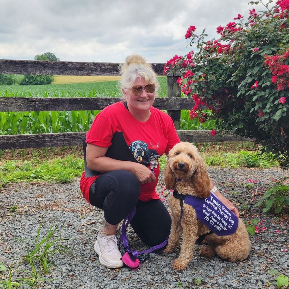 K9 Caring Angels Dog Training Image