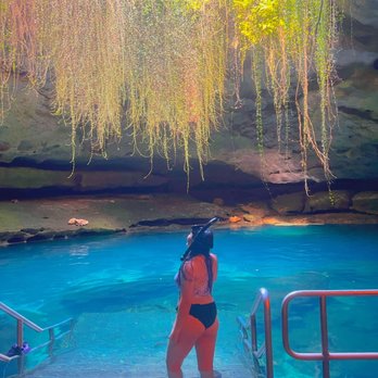 Devil's Den Prehistoric Spring - Scuba Diving Near Me - Williston, Florida Devil's Den Prehistoric Spring - Scuba Diving Near Me - Williston, Florida