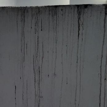 Rolling Suds - Sap from the tree - Pressure Washers Near Me - Carlsbad, California
