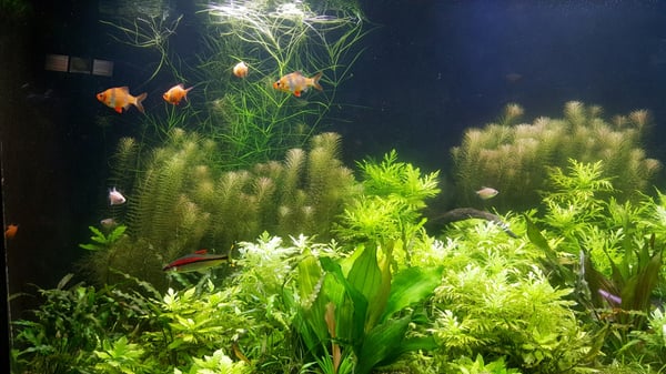 Underwater World Langkawi by null