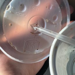 An ant found in drink