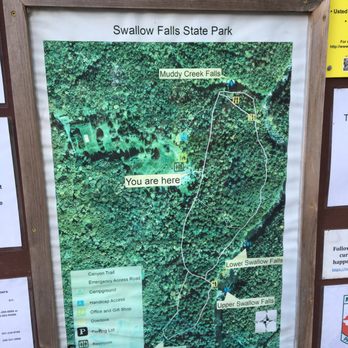 Swallow Falls State Park - Hiking trails - Parks Near Me - Oakland, Maryland