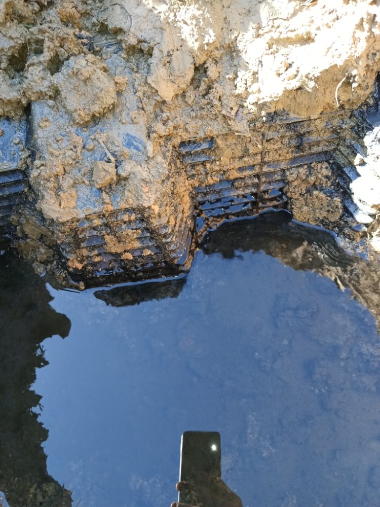 Slide of Arnold's sales