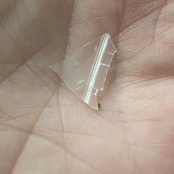 Heights Pizza - a piece of plastic in the palm of a person - Pizza Near Me - Darien, Connecticut