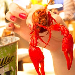The Austin Crawfish Company