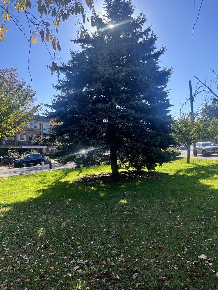 REMSEN CEMETERY Updated July 2024 10 Photos 71 Trotting Course Ln