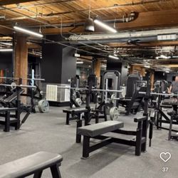 The Fitness Refinery - Benches