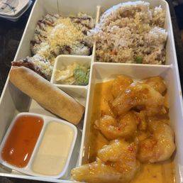 Fusion Bowl Bento Box Fusion Bowl Bento Box
