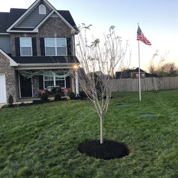 Evergreen Lawn Care & Landscaping - Professional Services Near Me - Murfreesboro, Tennessee