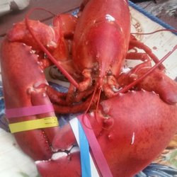 Defiant Lobster Co - Absolutely delicious!