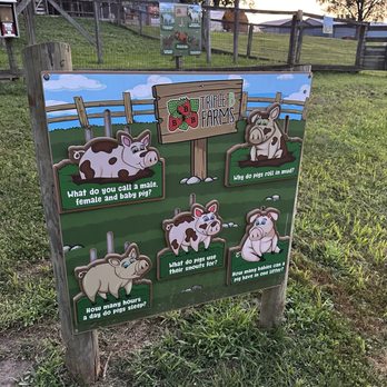 Triple B Farms - Pick Your Own Farms Near Me - Monongahela, Pennsylvania