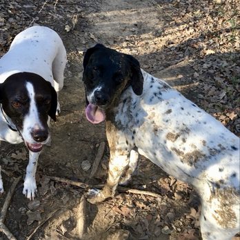 LUCKY DOG DAYCARE RANCH - Updated March 2026 - 18 Photos & 12