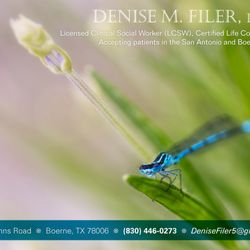 Denise M. Filer, LCSW
