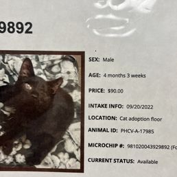 They renamed him from Ragetti (one eyed pirate in Pirates of the Caribbean) to "Whit" but eh well, as long as he has a good home!