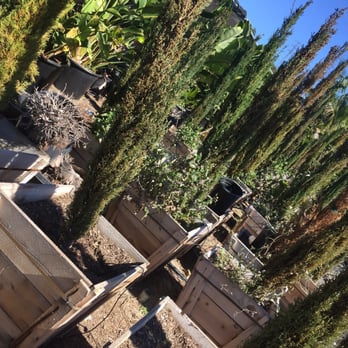 Las Flores Nursery - Nurseries & Gardening Near Me - Orange, California
