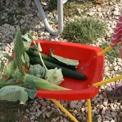 Huckepack Erlebnisernten