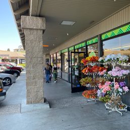 Exterior outside entrance of Dollar Tree - Arroyo Grande, California Exterior outside entrance of Dollar Tree - Arroyo Grande, California