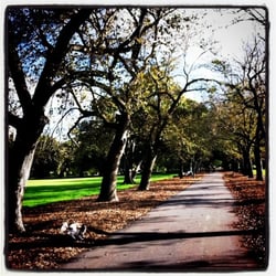 Fawkner Park