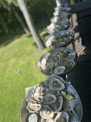 OP Fish House and Oyster Bar by null