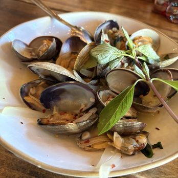 Amazing Basil - Clams with wine basil sauce - Asian Fusion Near Me - Fremont, California Amazing Basil - Clams with wine basil sauce - Asian Fusion Near Me - Fremont, California