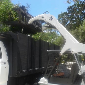 Kevin's Tree Service - Tree Services Near Me - Palm Bay, Florida Kevin's Tree Service - Tree Services Near Me - Palm Bay, Florida