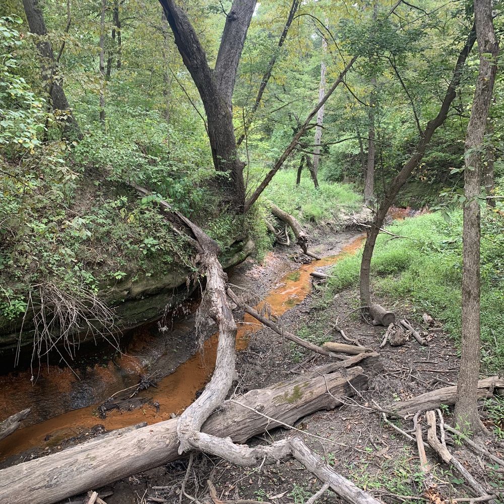 Starved Rock State Park - Parks Near Me - Utica, Illinois