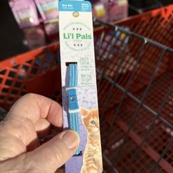 Care-A-Lot Pet Supply - Stretchable cat collar for my baby kittens