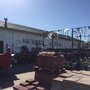 Photo of Plantus Nursery