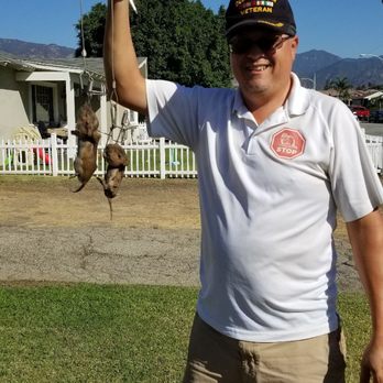 Gopher Stop - I offer: same day service, no poison, safe for pets, 60 day warranty. Www.gopherstop.biz - Pest Control Near Me Gopher Stop - I offer: same day service, no poison, safe for pets, 60 day warranty. Www.gopherstop.biz - Pest Control Near Me