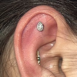 Fresh flat minutes after being pierced Fresh flat minutes after being pierced
