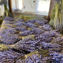 Charsaw Farms - Organic lavender bundles
