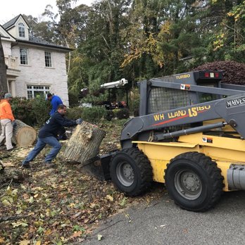 United Tree Service - Snow Removal Near Me United Tree Service - Snow Removal Near Me
