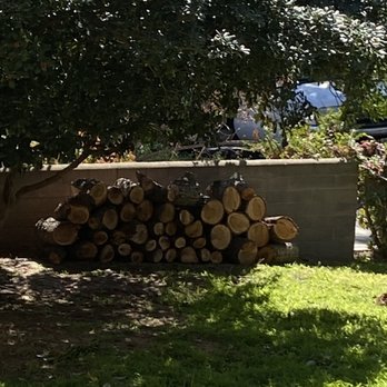 Tree Kickers - Cut tree into firewood sized pieces upon request - Tree Services Near Me Tree Kickers - Cut tree into firewood sized pieces upon request - Tree Services Near Me