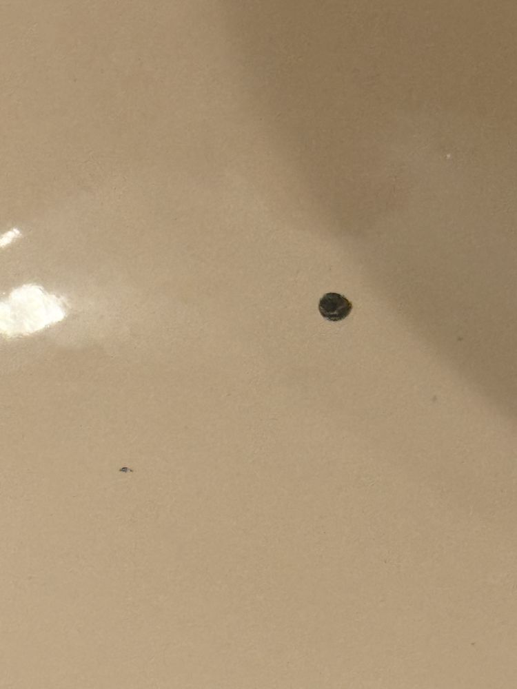 Slide of Husband 4 Hire