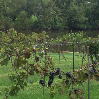Casa Somerset - Vineyards - Bed & Breakfast Near Me - Paola, Kansas Casa Somerset - Vineyards - Bed & Breakfast Near Me - Paola, Kansas
