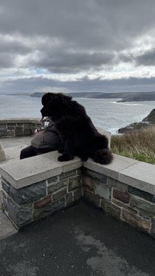 Signal Hill National Historic Site by null