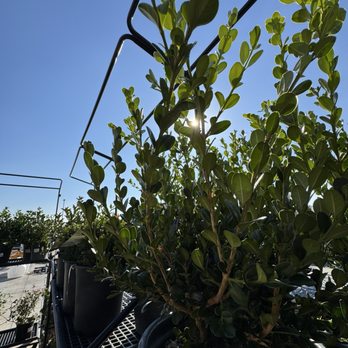 Tractor Supply - Loma Vista - Nurseries & Gardening Near Me - Clovis, California