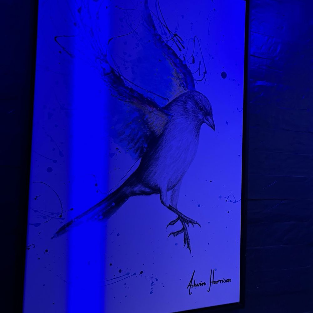 Blue Birdy - Gastropubs Near Me - West Hollywood, California Blue Birdy - Gastropubs Near Me - West Hollywood, California