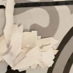 PURE Property Management of California - These are the plastic chunks that they didn't consider the drain blockage.