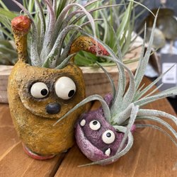 Blue Door Garden Store - Blob planters and air plants!