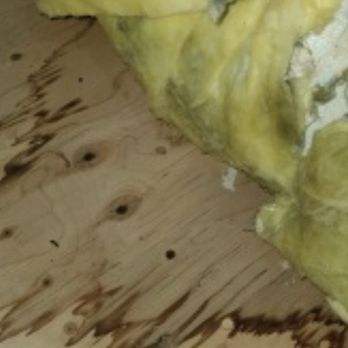 Pacific Aire - Leaking AC coil - Heating & Air Conditioning/HVAC Near Me - Oxnard, California Pacific Aire - Leaking AC coil - Heating & Air Conditioning/HVAC Near Me - Oxnard, California