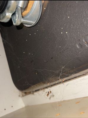 Lido at Shandin Hills by null