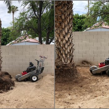 Green Desert Stump Grinding - Tree Services Near Me Green Desert Stump Grinding - Tree Services Near Me