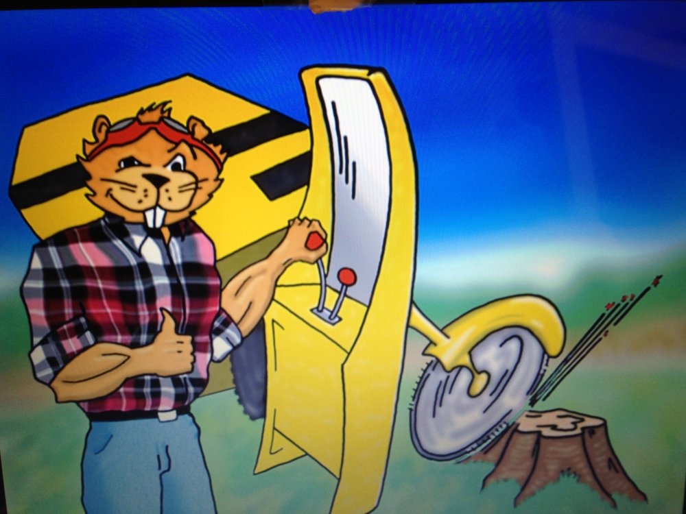 Dump That Stump - tree service in Johnston, IA