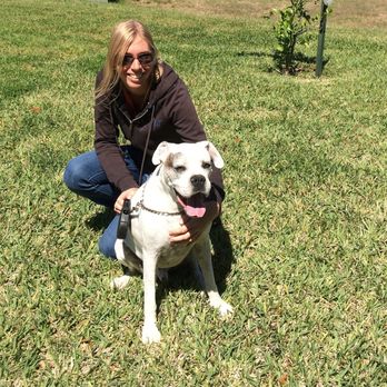 Four Paws Orlando - Dog Walkers Near Me Four Paws Orlando - Dog Walkers Near Me