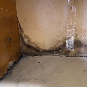 Stonelake at the Arboretum - Black mold under kitchen sink - Apartments Near Me - Austin, Texas Stonelake at the Arboretum - Black mold under kitchen sink - Apartments Near Me - Austin, Texas
