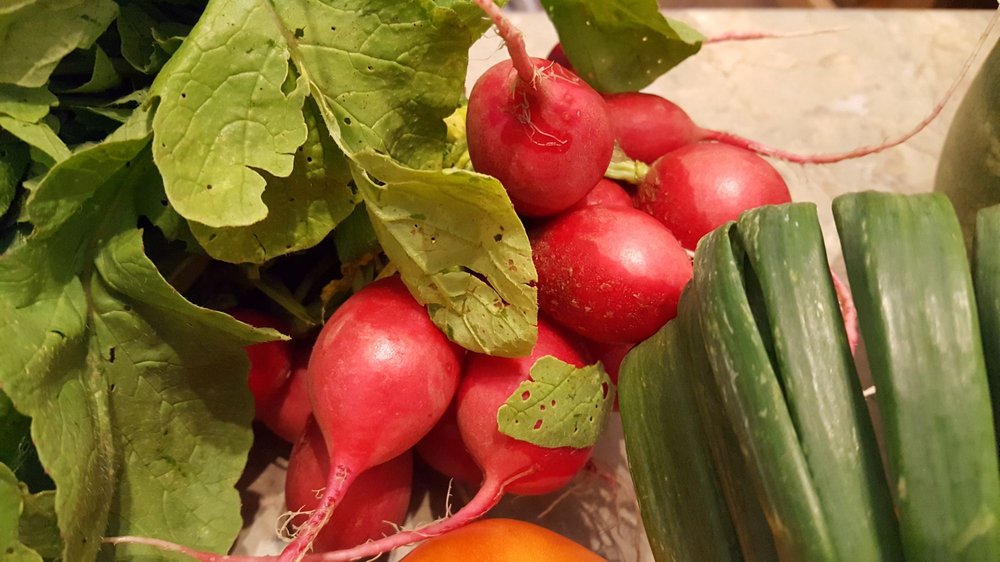 ROCK COUNTY FARMER’S MARKET Updated August 2024 14 Photos 5013 W Hwy 11, Janesville