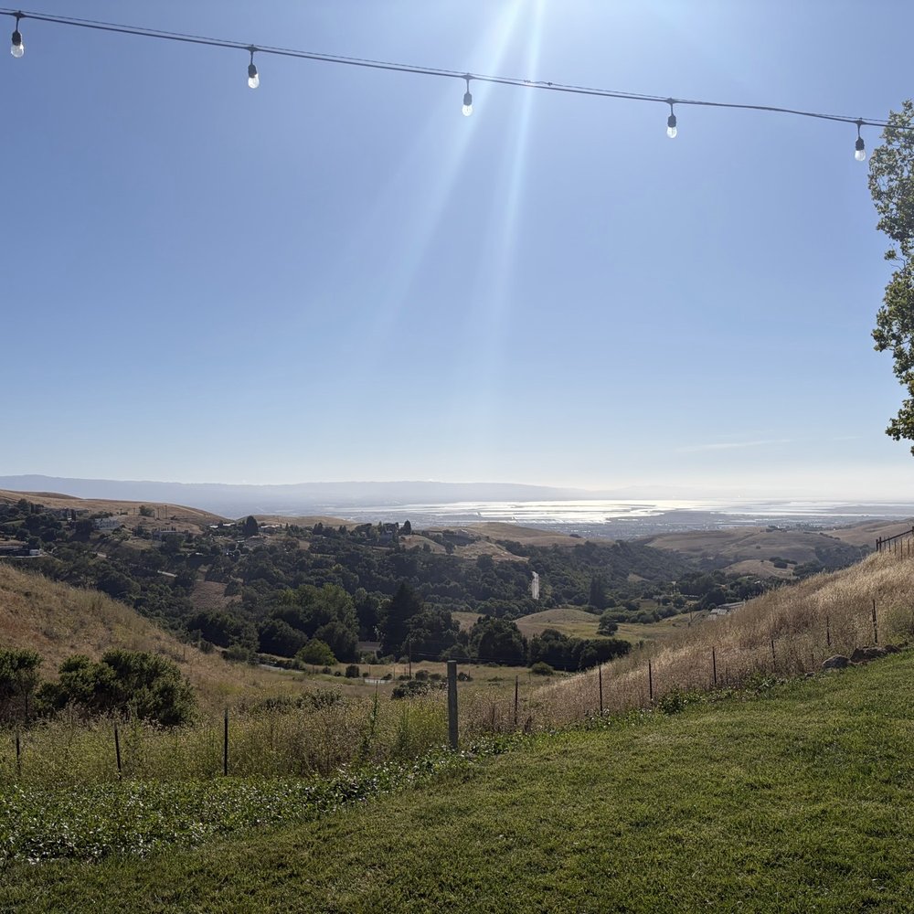 Big Dog Vineyards - View from the entrance road - Venues & Event Spaces Near Me - Milpitas, California Big Dog Vineyards - View from the entrance road - Venues & Event Spaces Near Me - Milpitas, California