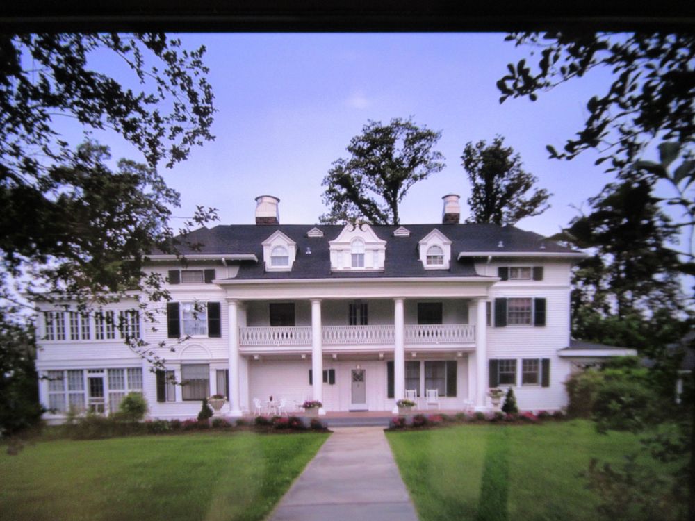 Slide of Roof Guardian