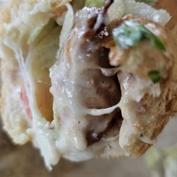 YUMMY Subs & More - Chicken Spiedie